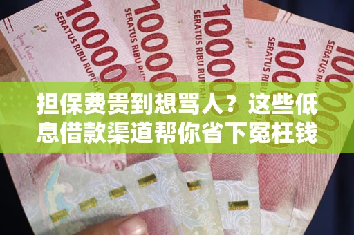 济南担保费贵到想骂人？这些低息借款渠道帮你省下冤枉钱