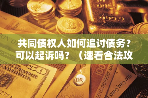 济南共同债权人如何追讨债务？可以起诉吗？（速看合法攻略）