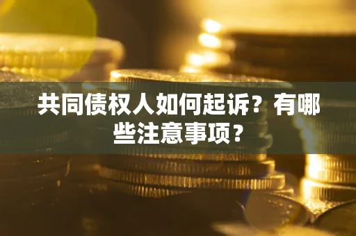 济南共同债权人如何起诉？有哪些注意事项？